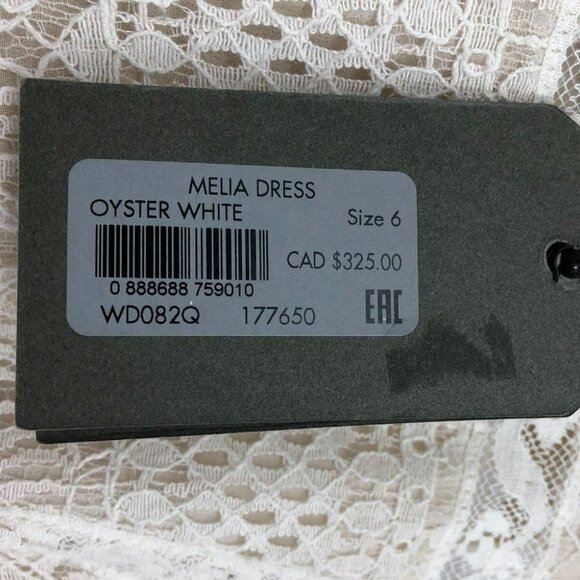 NWT Allsaints Melia Lace sleeveless mini Dress Size 6 in Oyster White - Picture 8 of 16